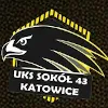 uks-sokol-43-katowice-women-ade918e3 1xBet Apk Download Malaysia: Official App